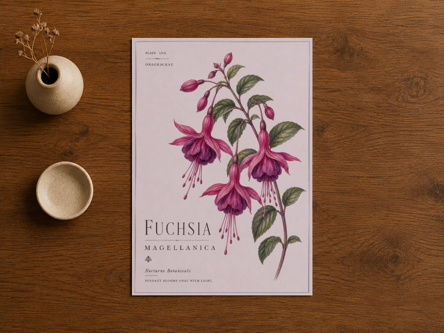 Ahşap masada sergilenen fuchsia çiçek botanik tablosu, klasik sanat baskısı, zarif ev dekorasyonu.