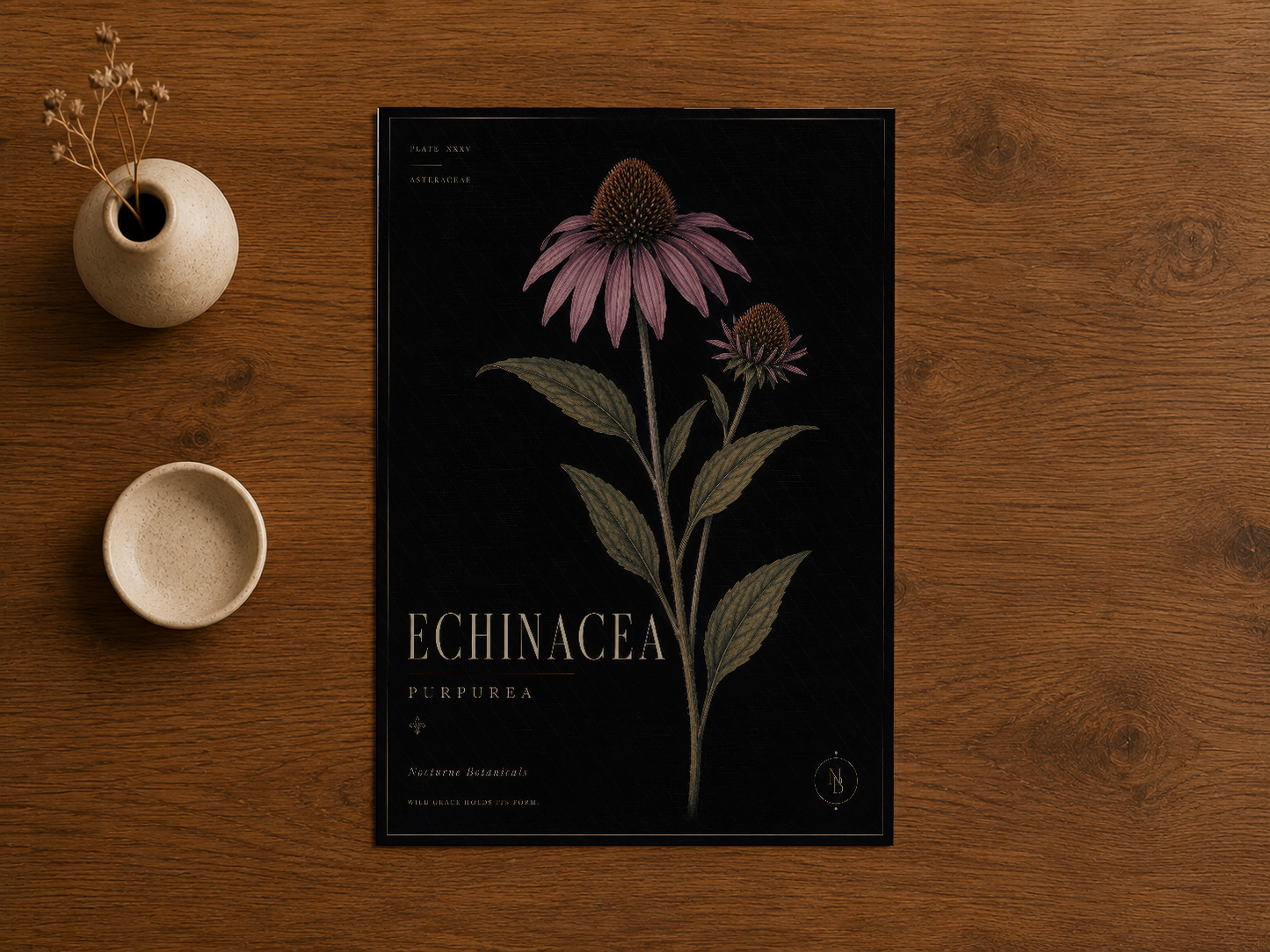 Doğal renklerle yapılmış echinacea baskısı, çerçeveli duvar sanatı dekorasyonu.