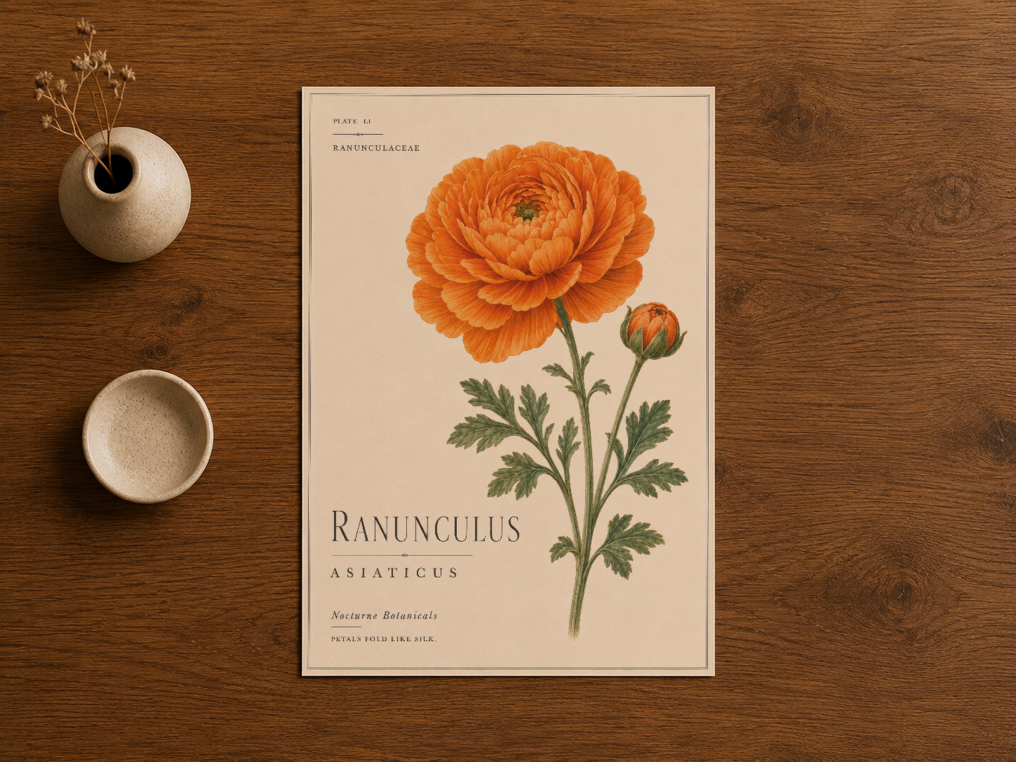 Vintage botanik tarzında Ranunculus çiçeği tablosu, ahşap masanın üstünde doğal ışıkta.