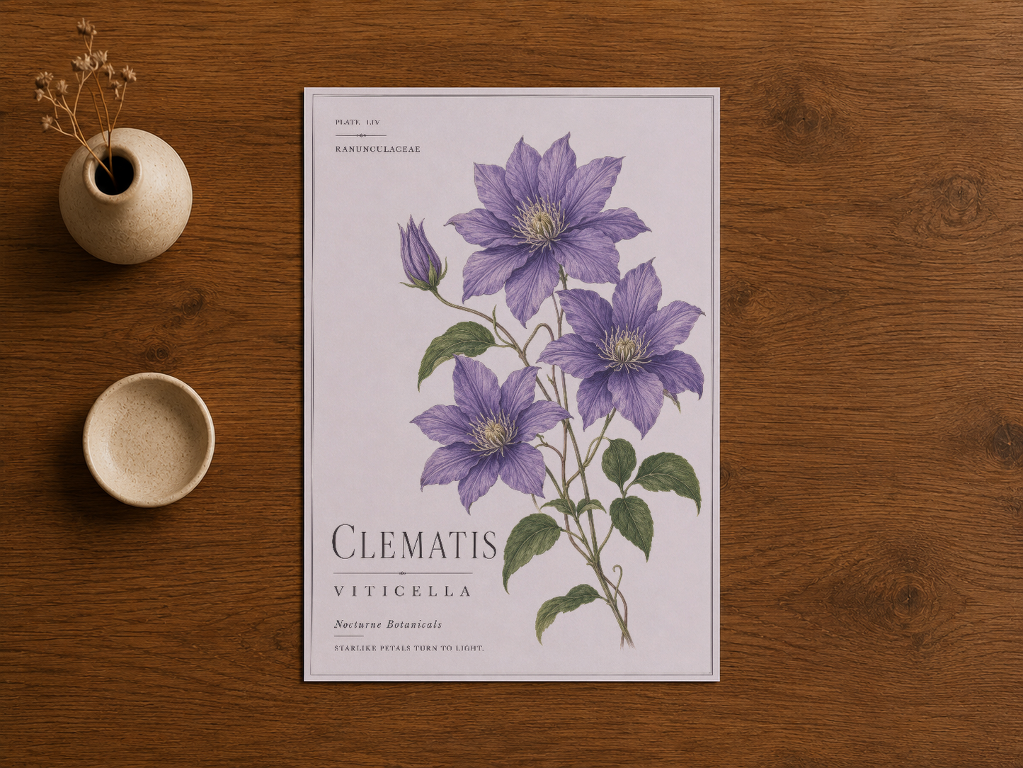Ahşap zeminde sergilenen, klasik botanik baskı stilindeki clematis viticella posteri.