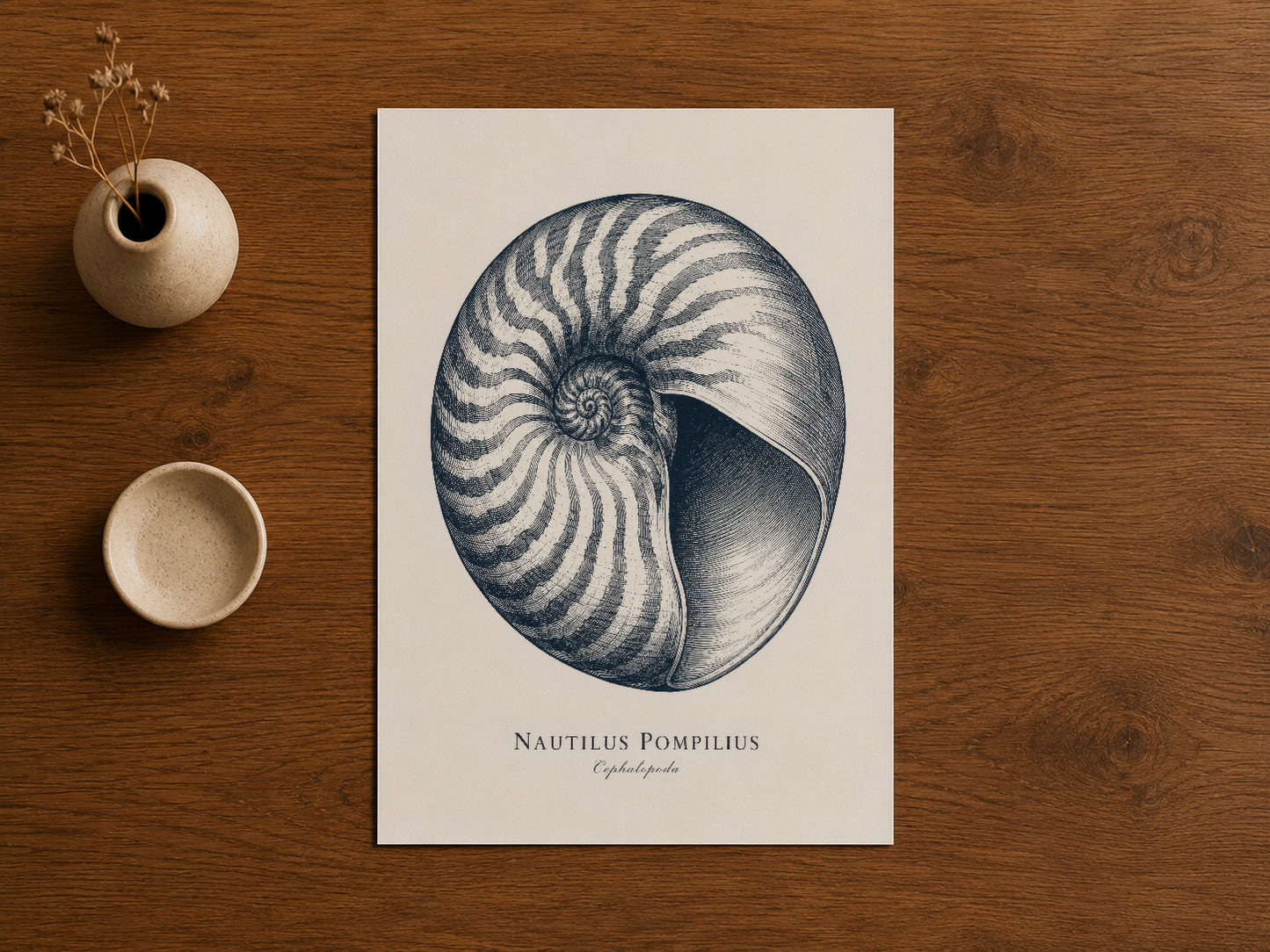 Nautilus tasarımı beyaz baskı, ahşap masa üstünde minimal dekorasyon ve seramik aksesuarlarla.