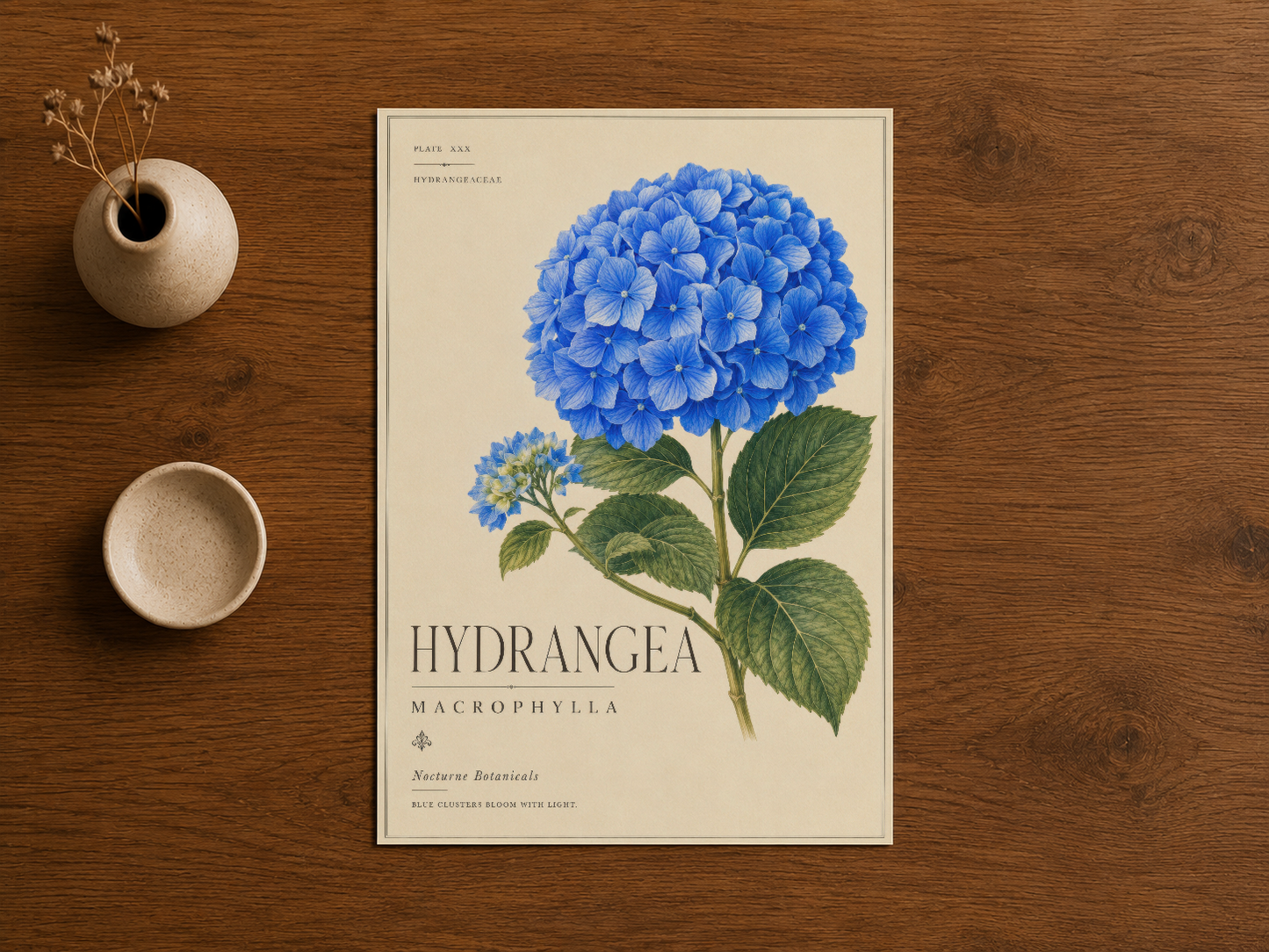 Nectar Botanicals koleksiyonundan hortensia vintage poster, doğal ahşap arka planda.