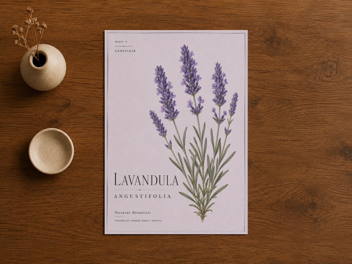 Ahşap masada duran, zarif herbaryum stili lavandula angustifolia sanat baskısı.
