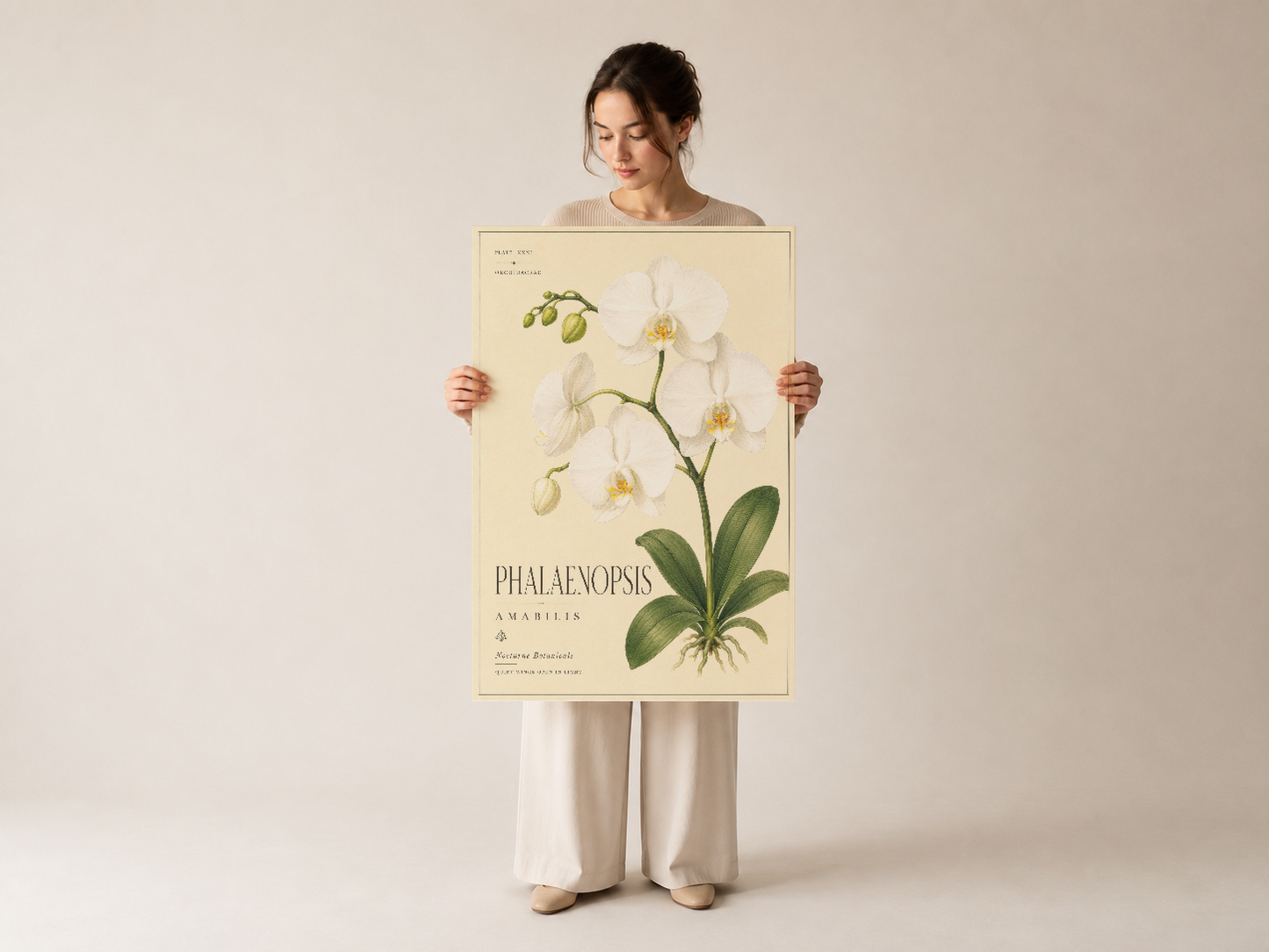 Retro botanik sanat baskısı, nostaljik phalaenopsis orkide tasarımı ile duvar dekorasyonu.