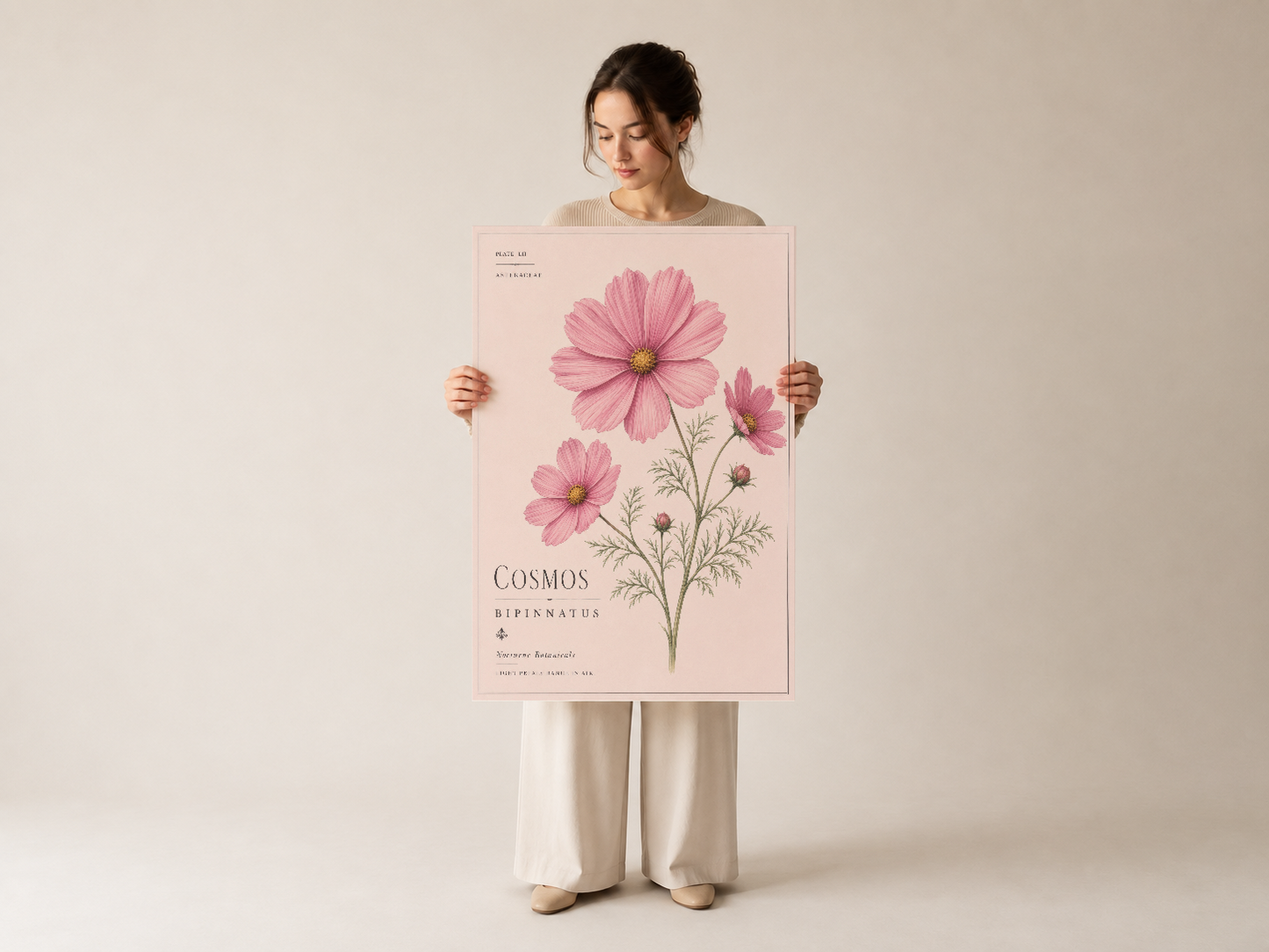 Elegant pembe cosmos sanat eseri, krem konseptinde sunulan zarif çiçek haritası poster tasarımı.