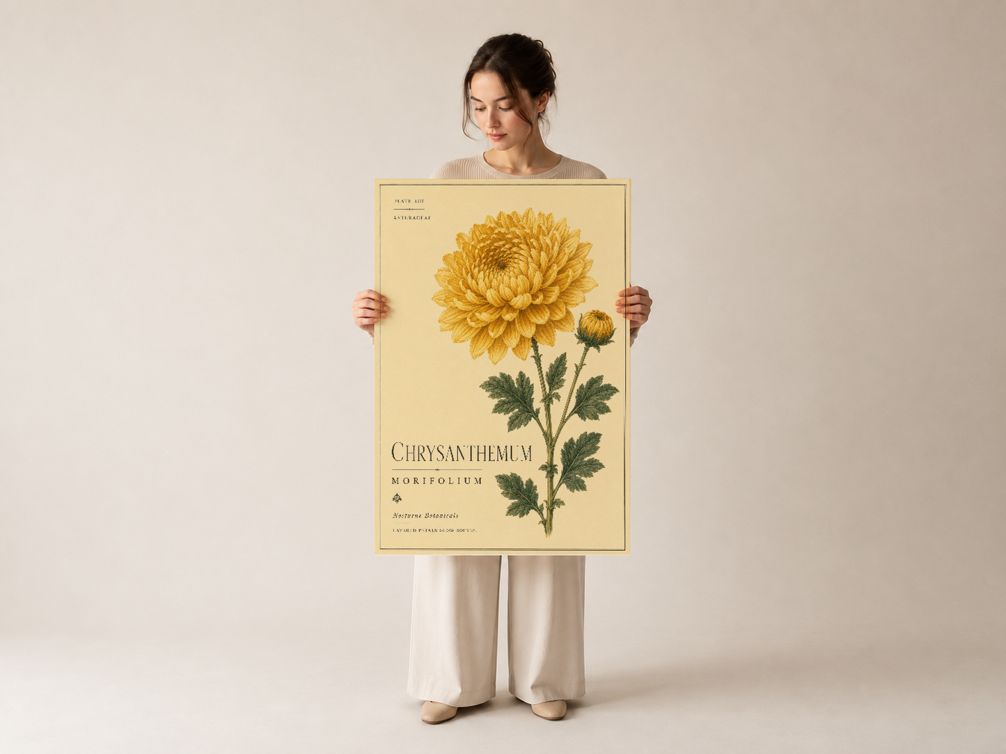 El göz ifadesiyle chrysanthemum botanik sanat tablosu, yumuşak sarı arka planda gösteriyor.