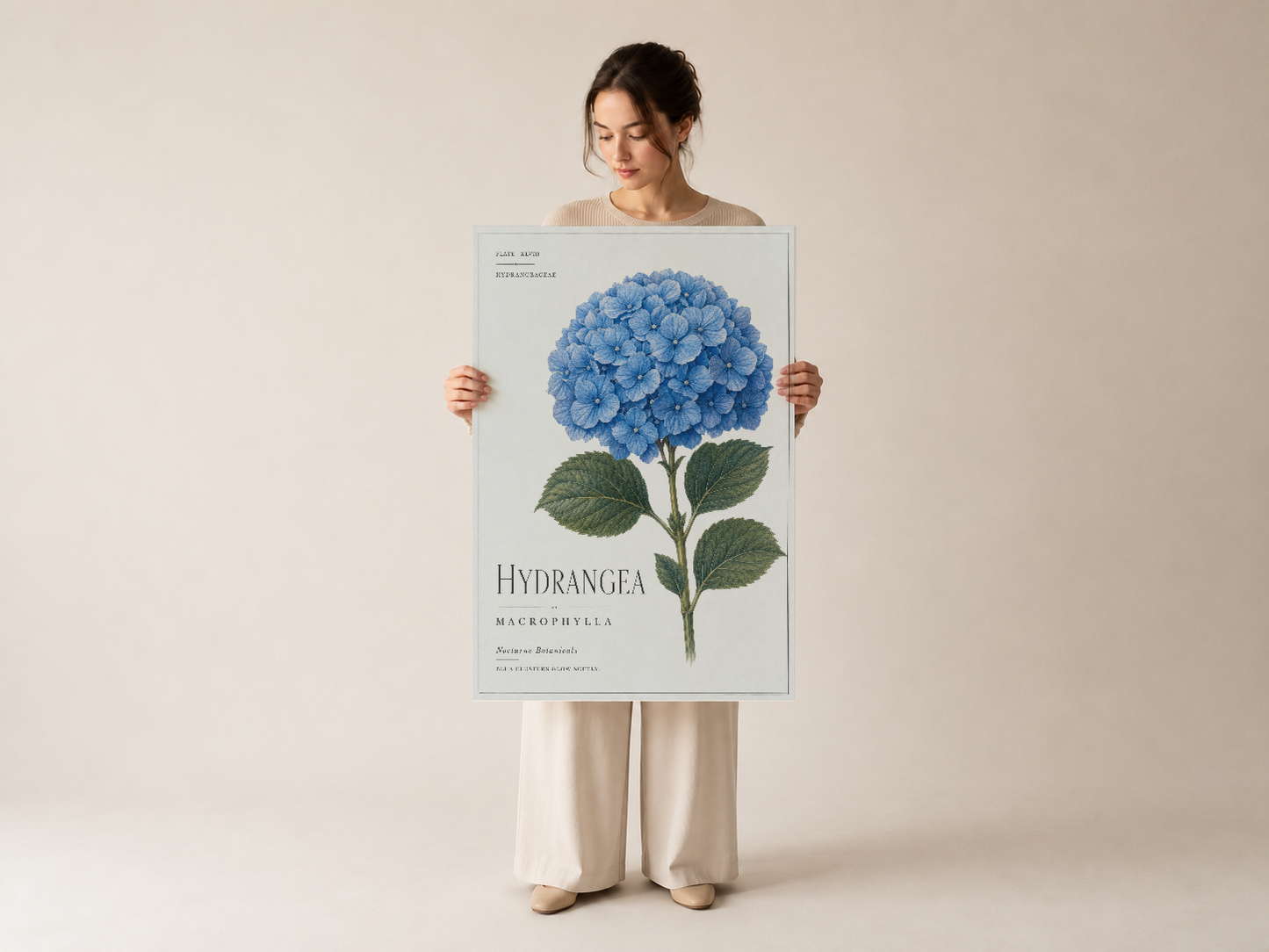 Hydrangea macrophylla sanat baskısı, geniş format botanik duvar dekorasyon tablosu.