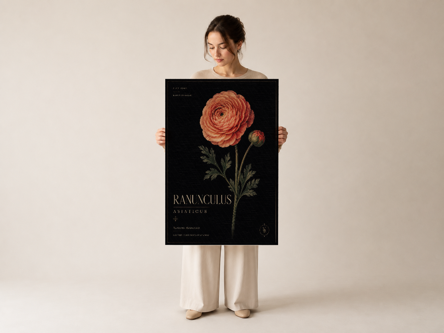 Siyah zeminde stilize mercan rengi Ranunculus çiçeği, botanik tasarım duvar sanatı poster baskısı.
