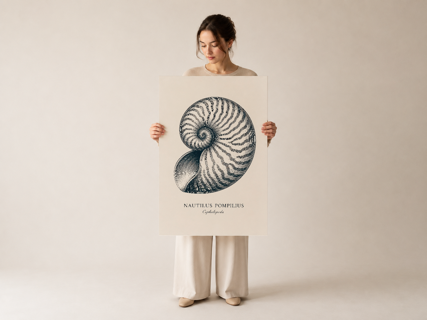 Nautilus Pompilius anatomik duvar tablosu, siyah mürekkeple çizilmiş kabuğun spirali, elden tutulmuş.