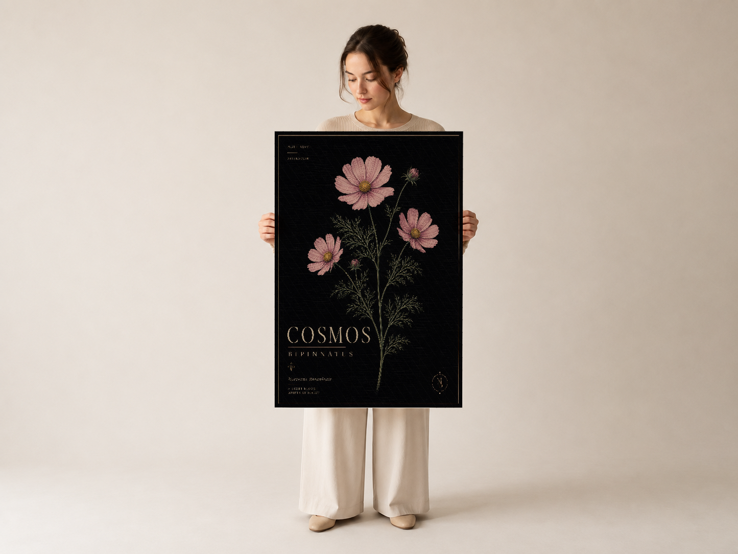 Feminen cosmos çiçek posteri, doğal ortamda tarafsız tonda oturma alanında sergileniyor.