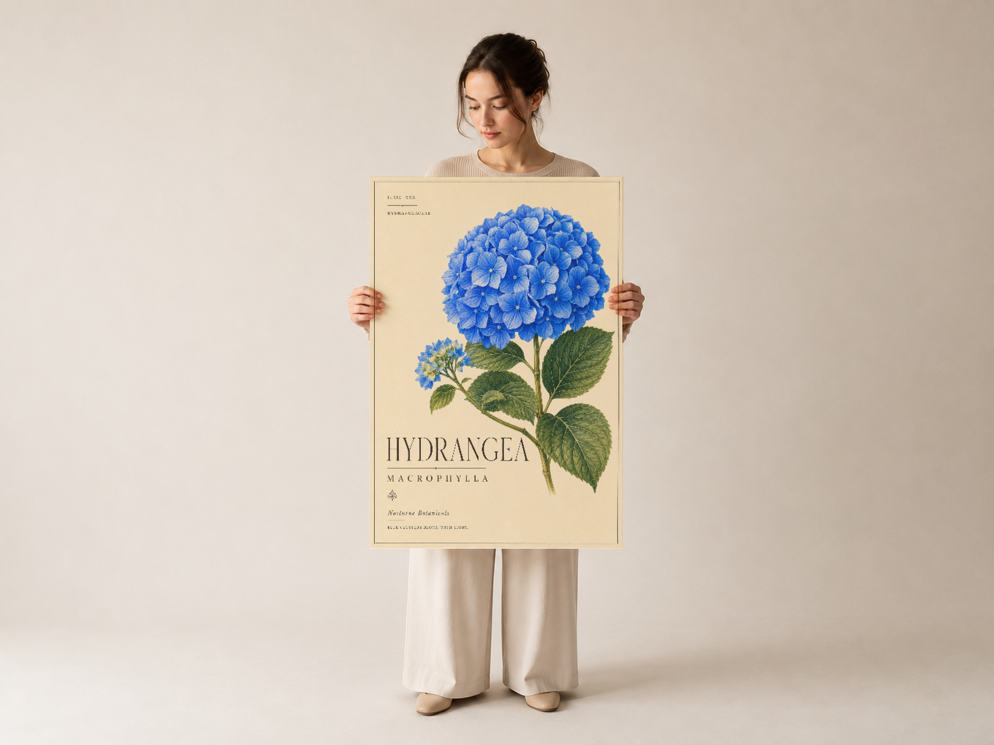 Hortensia macrophylla sanat eseri, zarif botanik tasarımıyla interiyor dekorasyonu için ideal.