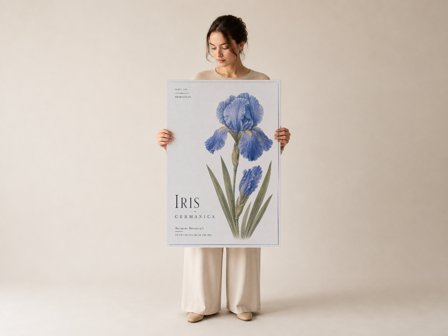 Kişinin tuttuğu, klasik botanik stilinde mavi iris motifli kaliteli poster.