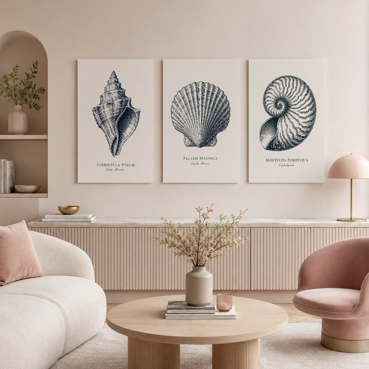 Kabuk illüstrasyonları koleksiyonu, minimalist iç tasarımda doğal ve sakin estetik sunar.