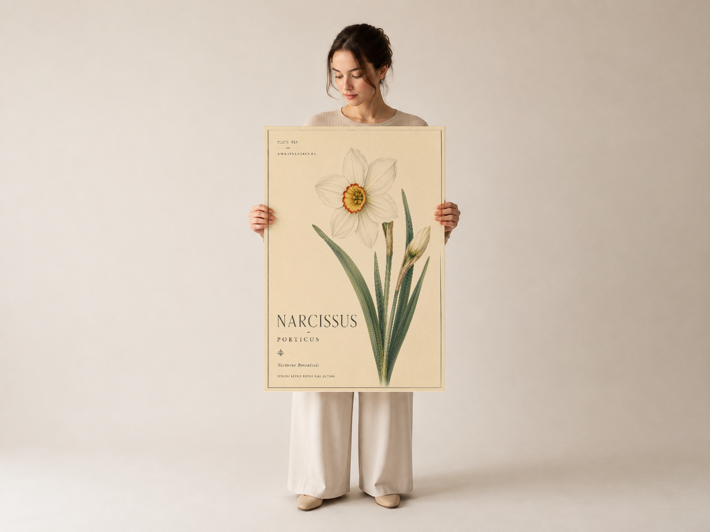 Narcissus Poeticus duvar tablosu, elegant çerçevesi ile tutulmuş, botanik tasarımın güzelliği vurgulanıyor.