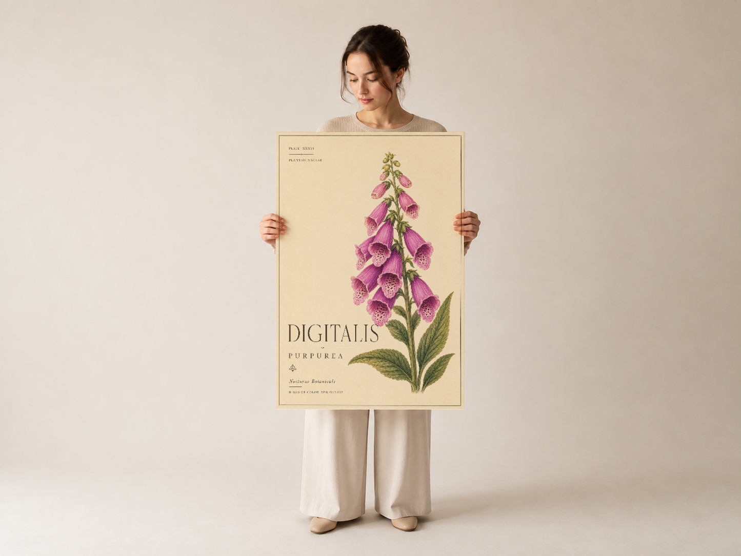 El boyaması botanik sanat eseri, klasik herbarium dizaynı, krem zemin üstüne.