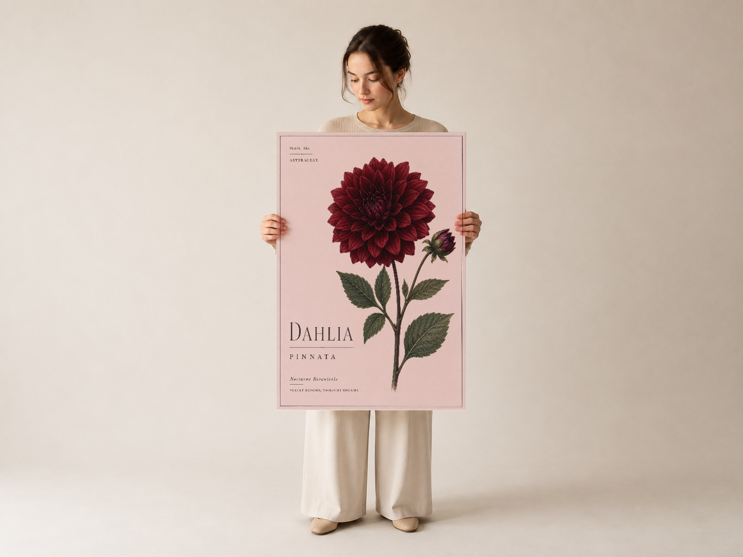 Pembe çerçeveli, botanik illüstrasyon stilinde yapılmış Dahlia çiçek duvar tablosu.