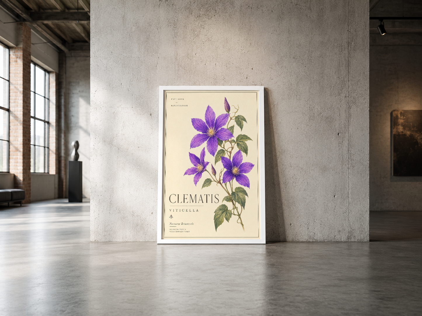 Vintage botanik illüstrasyonu clematis viticella, beyaz çerçeveli, endüstriyel mekan dekorasyonu.