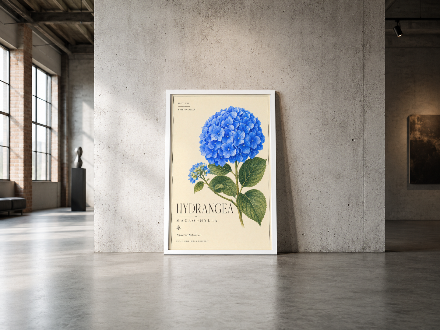 Hortensia macrophylla tasarımı beyaz çerçeveli poster, endüstriyel betonlu mekanda sanatsal vurgu yaratıyor.