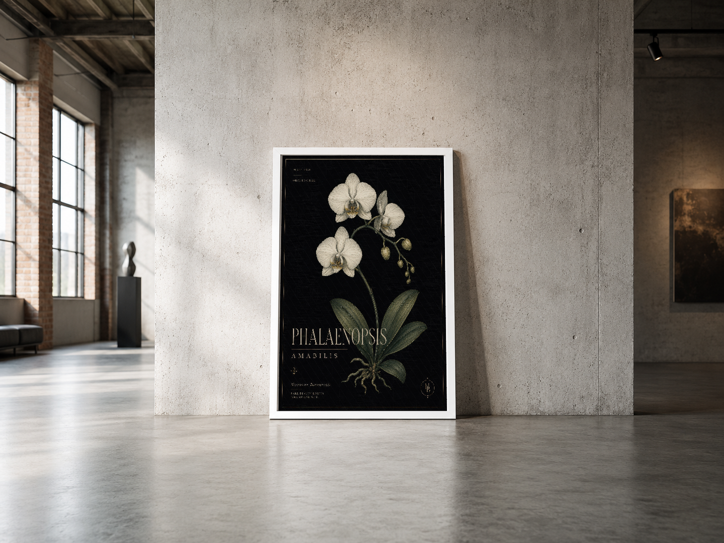 Phalaenopsis orkidesi ile ilgili bilimsel tasarım, endüstriyel mekan dekorasyonunda asılı çerçeveli poster.