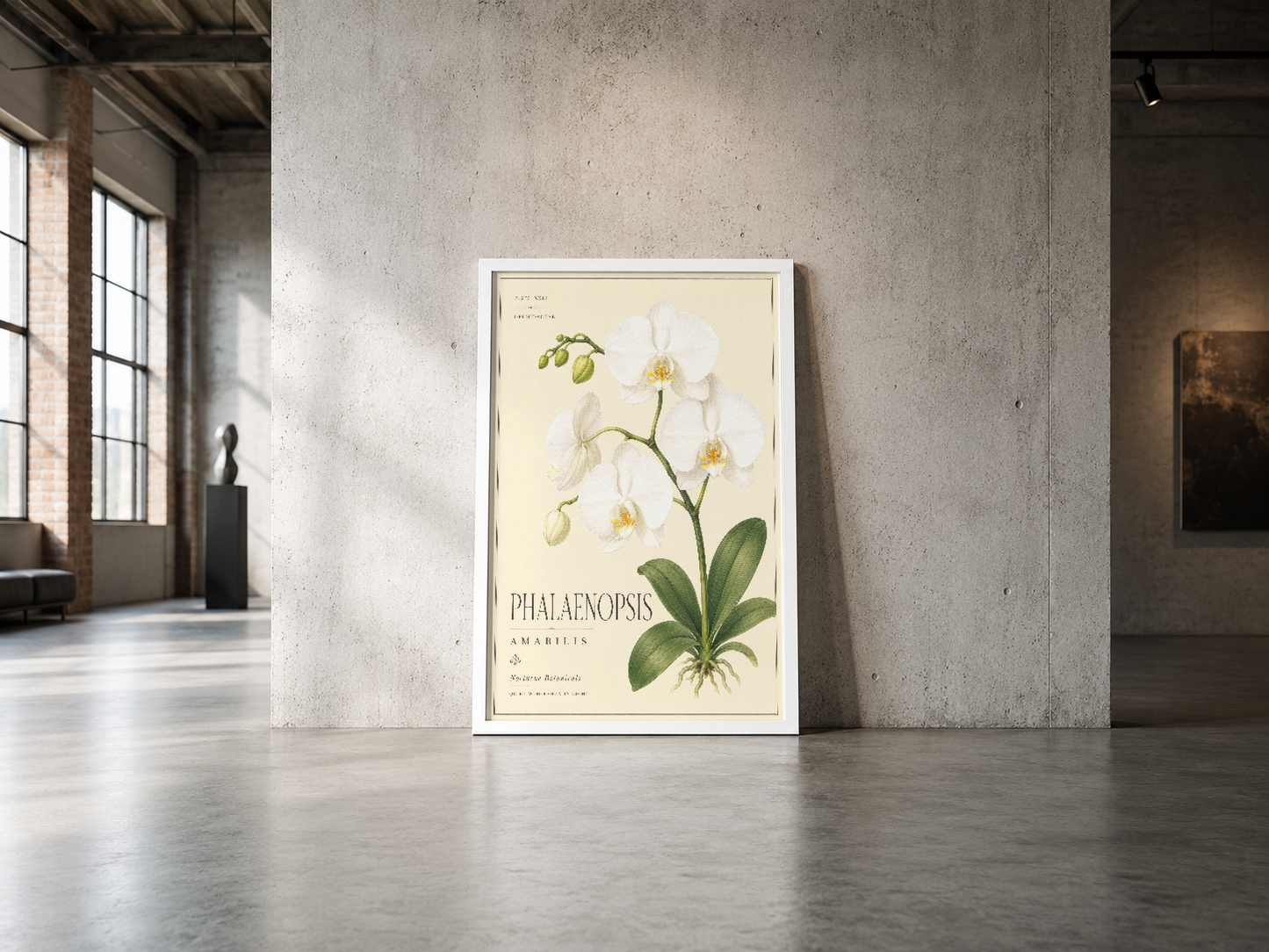 Phalaenopsis orkide baskısı, beyaz çerçeveli, endüstriyel concrete duvarla modern mekanda.