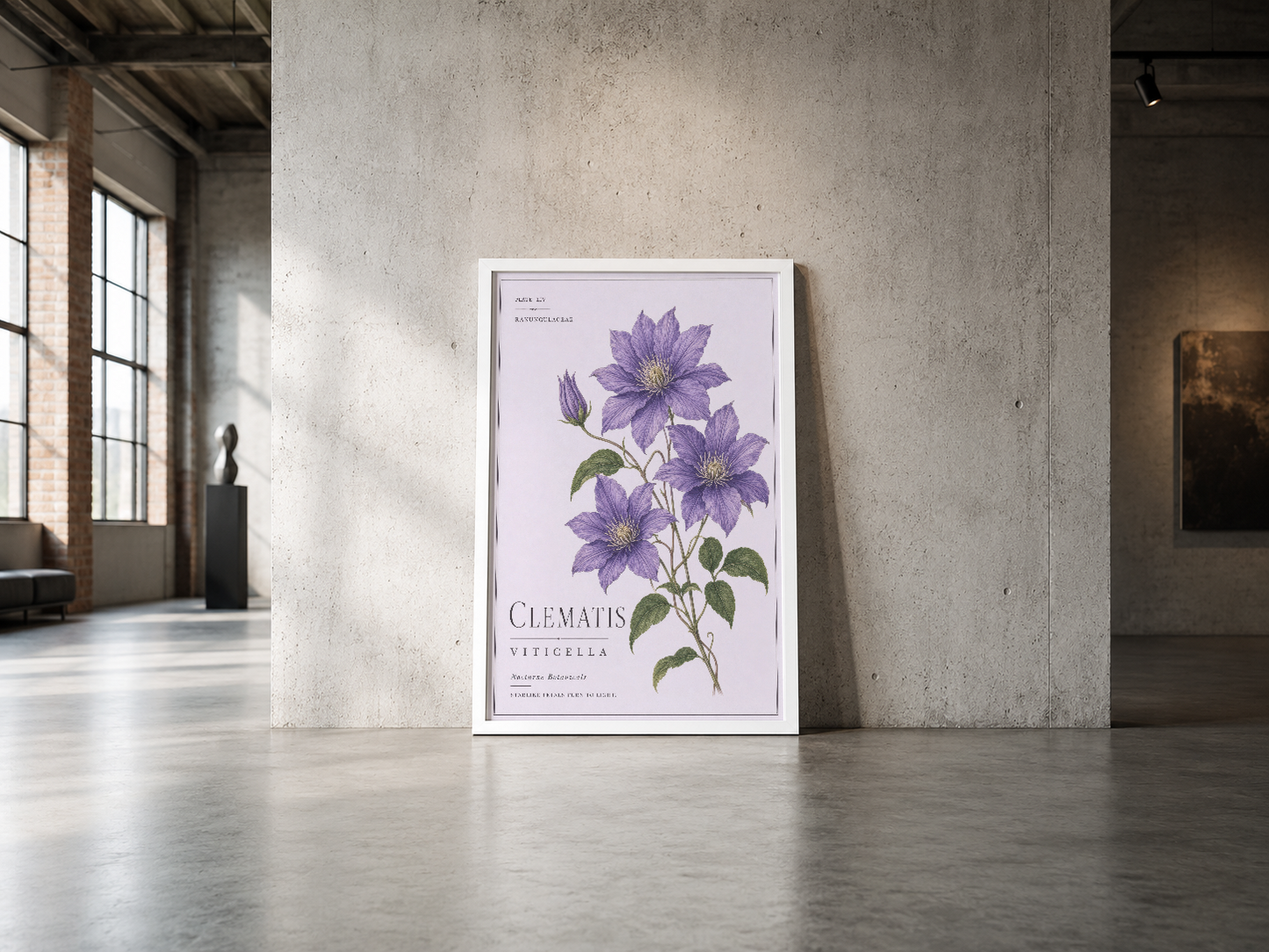 Endüstriyel gri beton duvarla modern galeriye yerleştirilmiş, beyaz çerçeveli clematis viticella botanik poster.