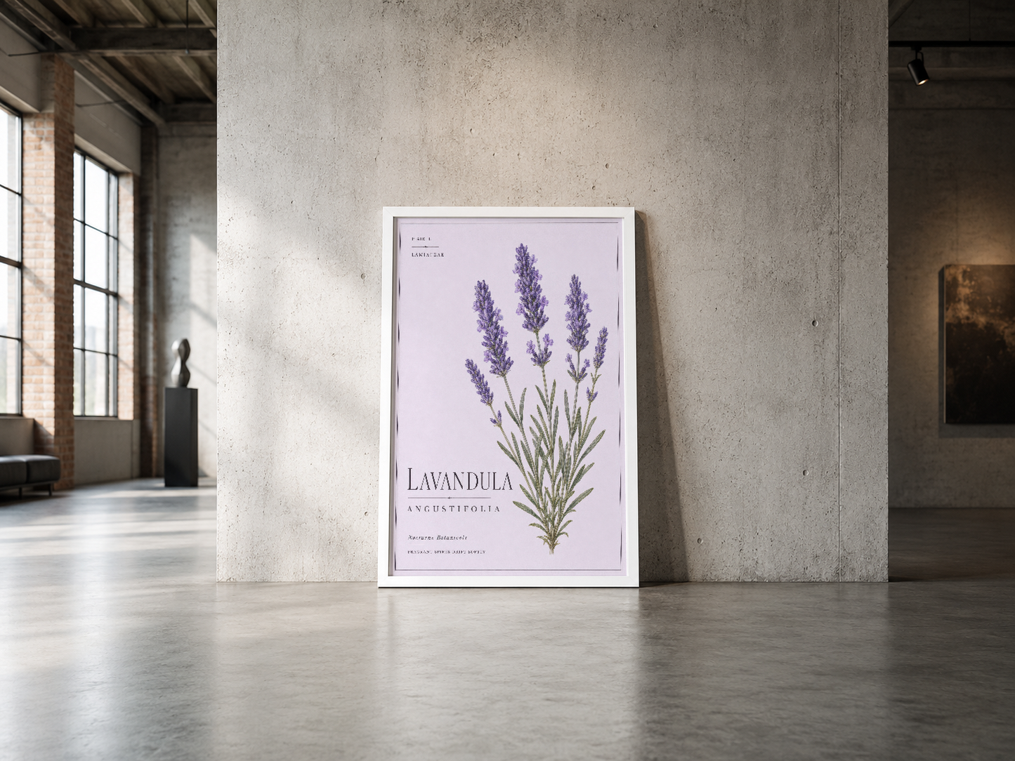 Lavandula angustifolia bilimsel adıyla lavanta bitkisinin detaylı botanik çizimi, beyaz çerçeveli poster.