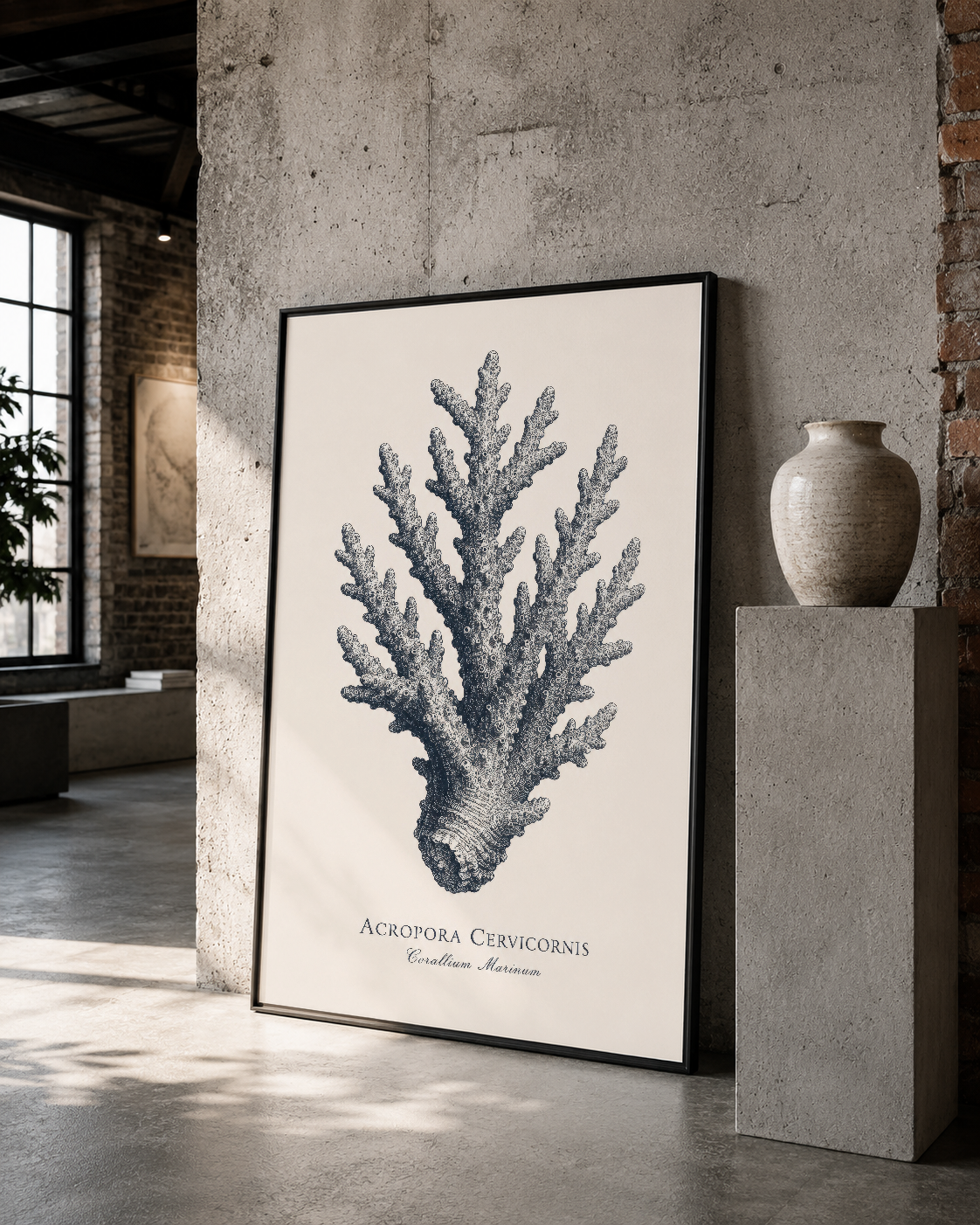 Siyah çerçeveli Acropora Cervicornis mercan tablosu, çağdaş galeride sergilenen natüralista stil.
