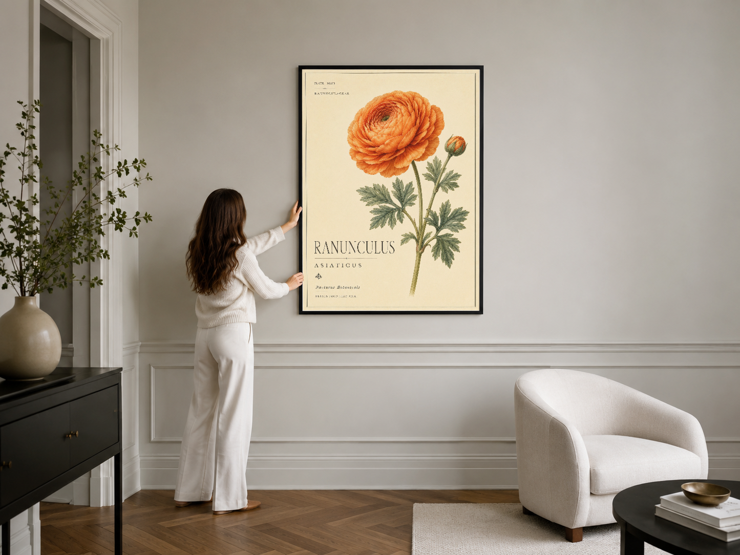 Klasik botanik sanat ranunculus posteri, siyah çerçeveli, kontempler bir yaşam alanında.