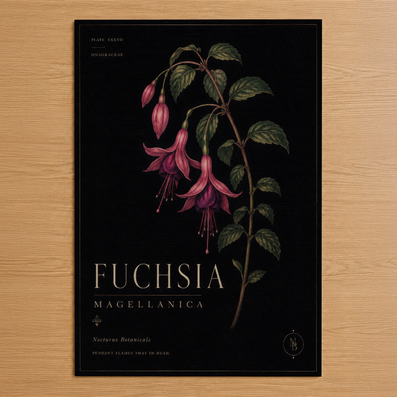 Siyah zeminde pembe fuşya çiçekleri ve yeşil yapraklarıyla botanik tarz Fuchsia Magellanica duvar tablosu.