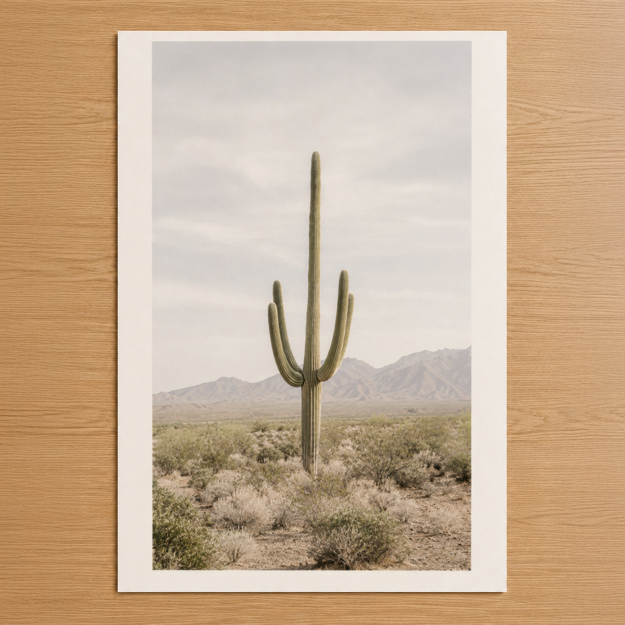 Çöl manzarası içinde yalnız saguaro kaktüsü; minimalist doğa tablosu, sakin ve meditativ atmosfer