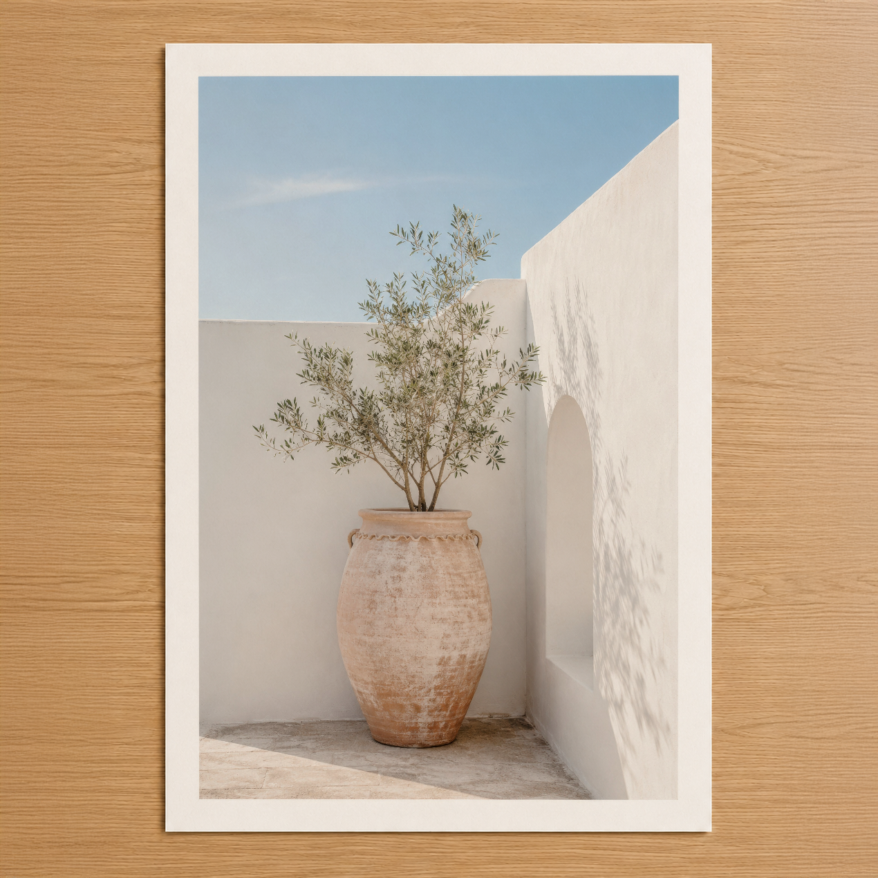 Beyaz duvarlar arasında terrakotta vazoda yeşil zeytin ağacı, açık mavi gökyüzü ve minimalist Akdeniz mimarisi.