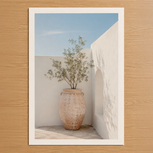 Beyaz duvarlar arasında terrakotta vazoda yeşil zeytin ağacı, açık mavi gökyüzü ve minimalist Akdeniz mimarisi.
