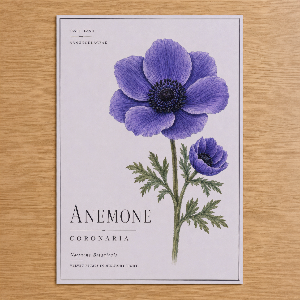 Zarif botanik stilinde mor anemone çiçeği, detaylı yaprak ve tomurcuklarıyla klasik naturalist poster tasarımı.