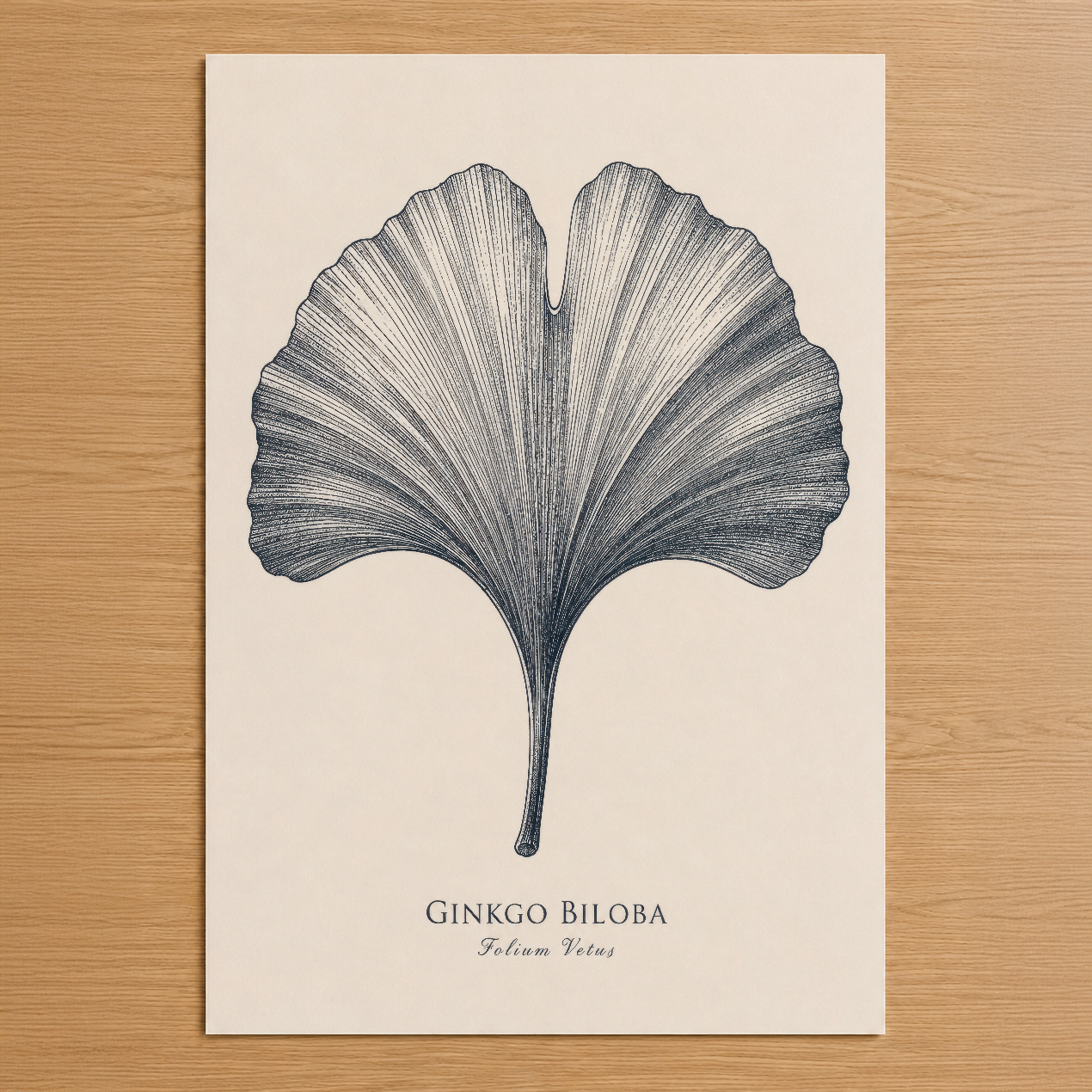 Ginkgo Biloba botanik tasarımlı siyah beyaz çizim poster, minimalist doğa sanatı.