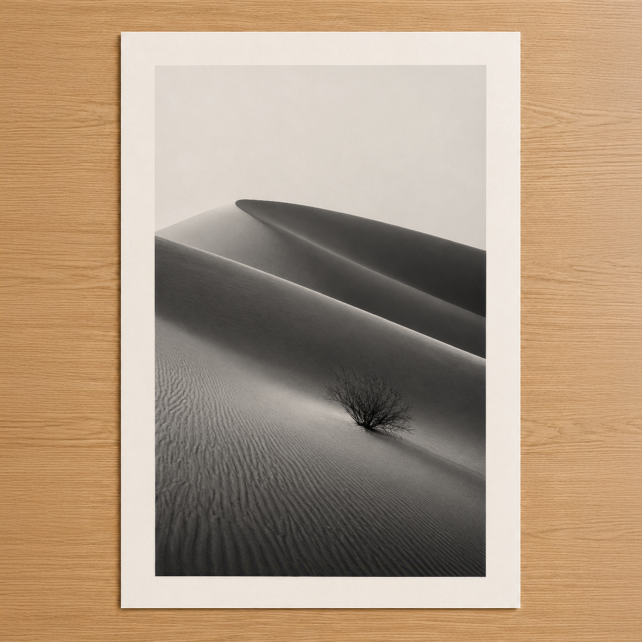Siyah beyaz çöl dünü tablosu, minimalist estetikle yalnız bir çalı detayı içeren sanat poster