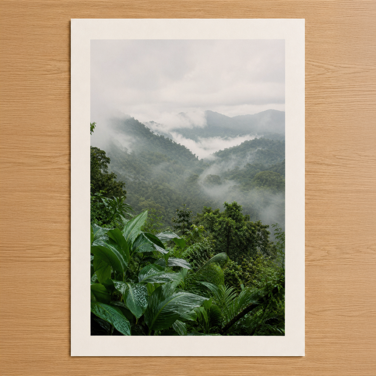 Sisli dağ vadisini ve tropikal bitkileri gösteren doğa fotoğrafı tablosu, minimalist beyaz çerçevesiyle.