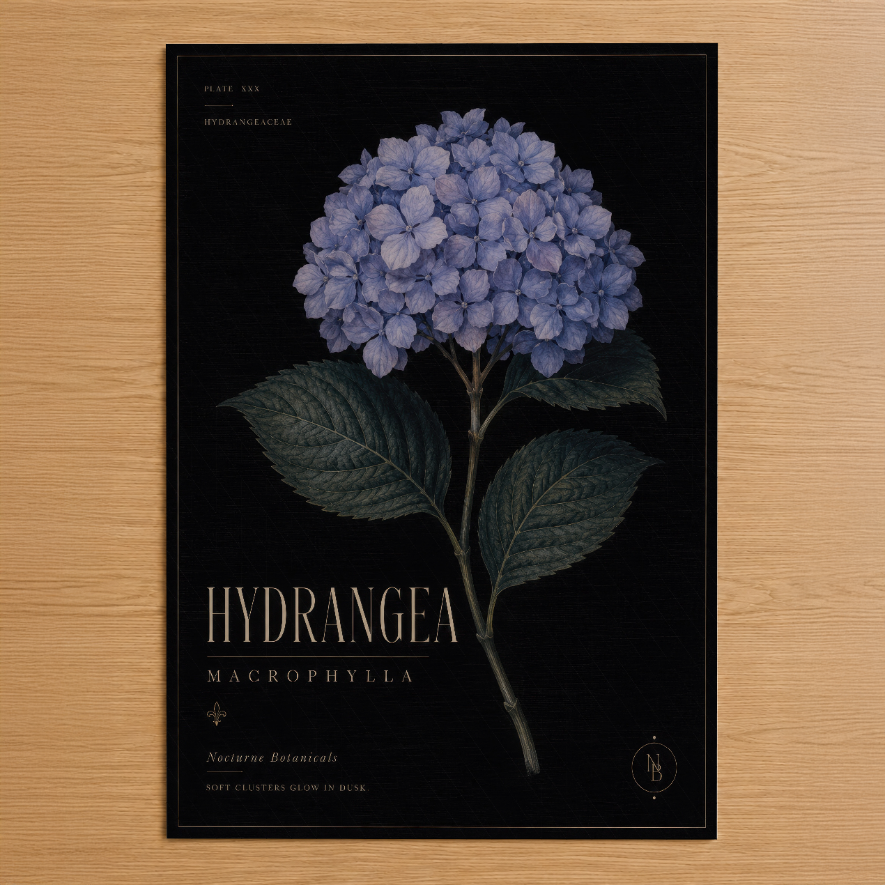 Siyah zemin üzerinde pastel mavi hortensiya çiçeğinin botanik illüstrasyonlu klasik poster.