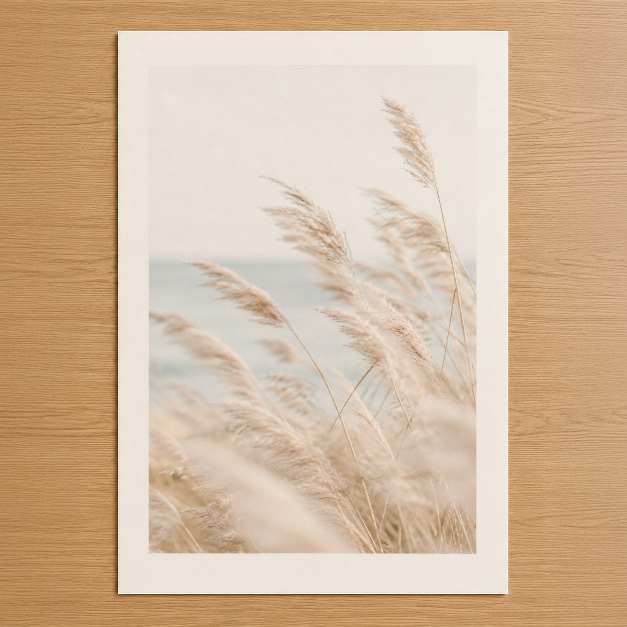 Kumsal otlarının yumuşak tonlarında çekilmiş, minimalist doğa tablosu, sakin ve huzurlu bir atmosfer yaratıyor.