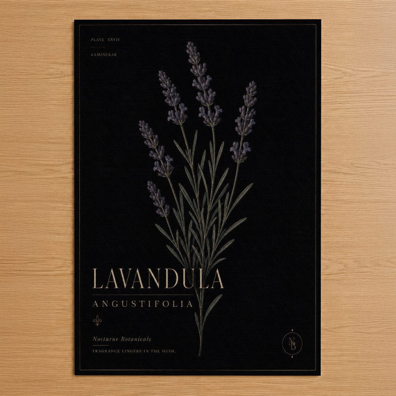 Lavandula Angustifolia botanik tablosu, siyah zemin üzerinde altın yazı ve detaylı çiçek illüstrasyonu ile şık tasarım.