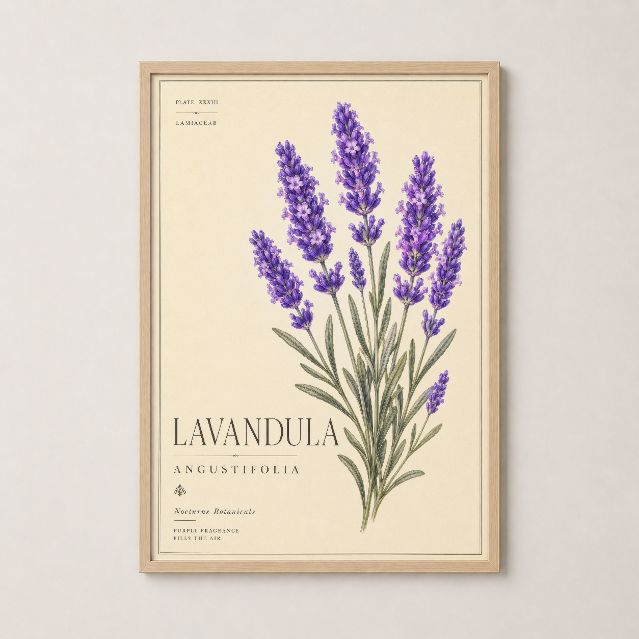 Lavanda botanik posteri, ahşap çerçevede, doğal renkli dekoratif duvar sanatı.