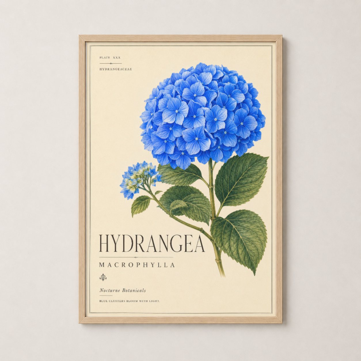 Ahşap çerçeveli vintage hortensia posteri, sıcak doğal ahşap tonuyla dekoratif duvar sanatı.