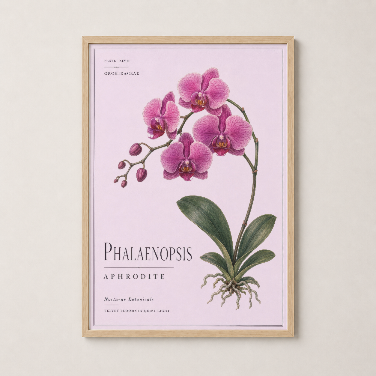 Ahşap çerçeveli Phalaenopsis tablosu, doğal ışık alan sıcak bir iç mekân aksessuarı.