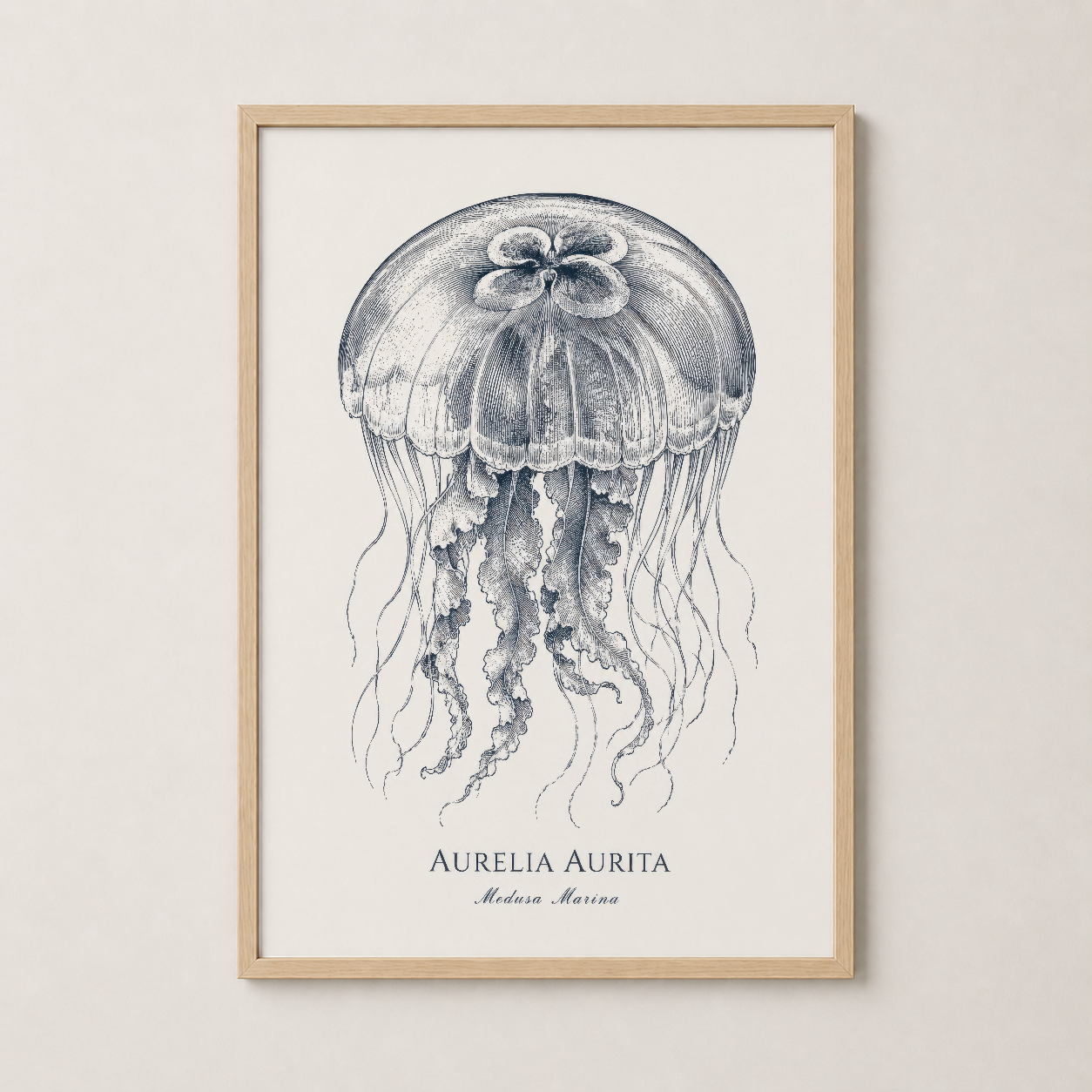 Doğal ahşap çerçeveli, botanik sanat tarzında denizanası posteri, sıcak iç mekan ortamlarına uyum sağlar.