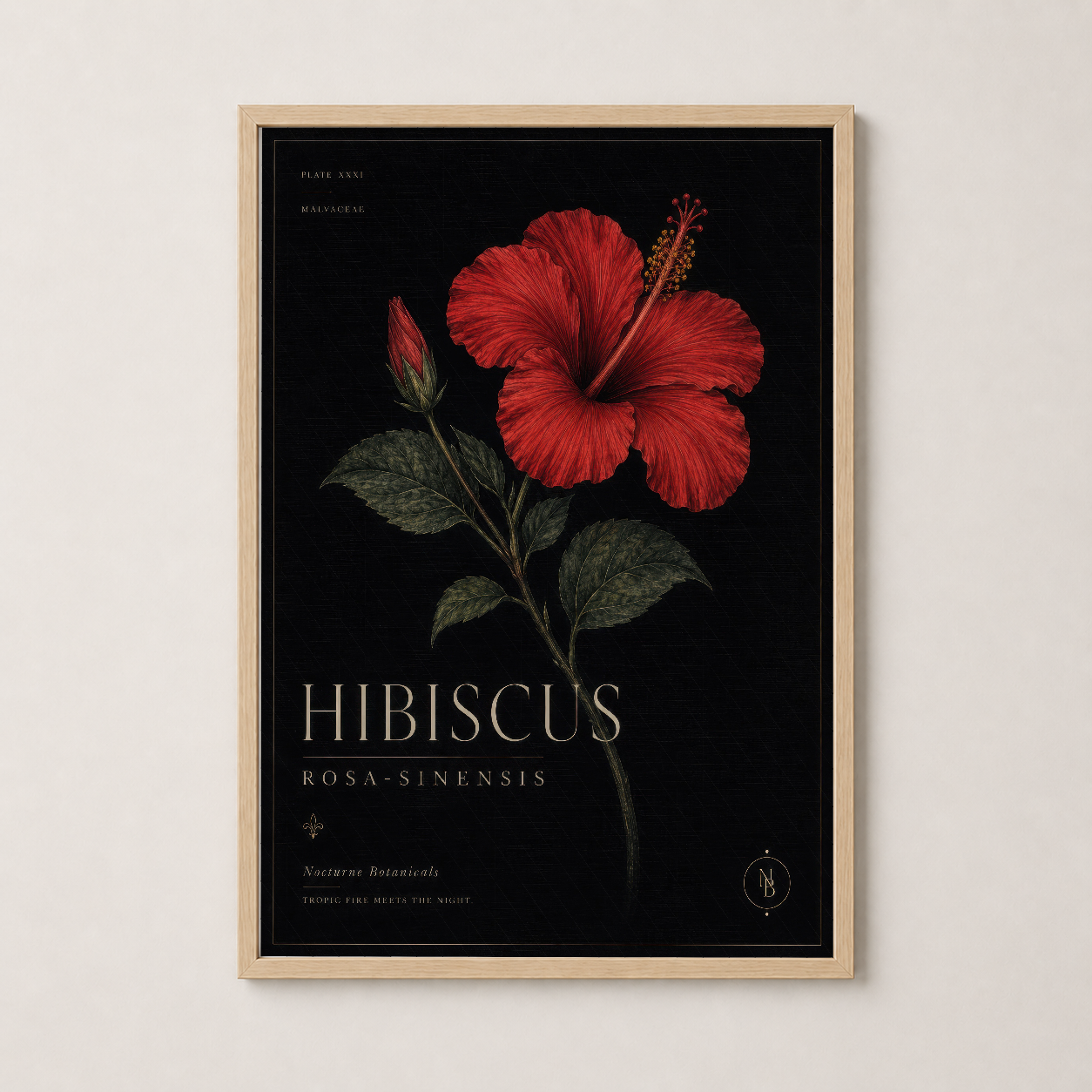 Ahşap çerçevede, vintage botanik sanat tablosu, kırmızı hibiskus çiçeğinin detaylı görünümü.