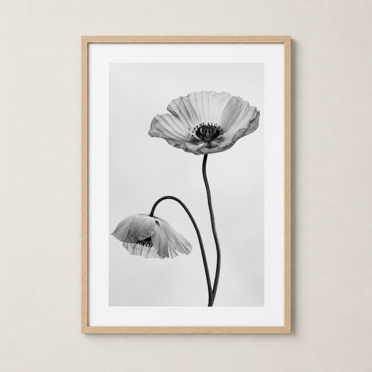 Beyaz Siyah Gelincik Çiçeği Minimalist Duvar Tablosu