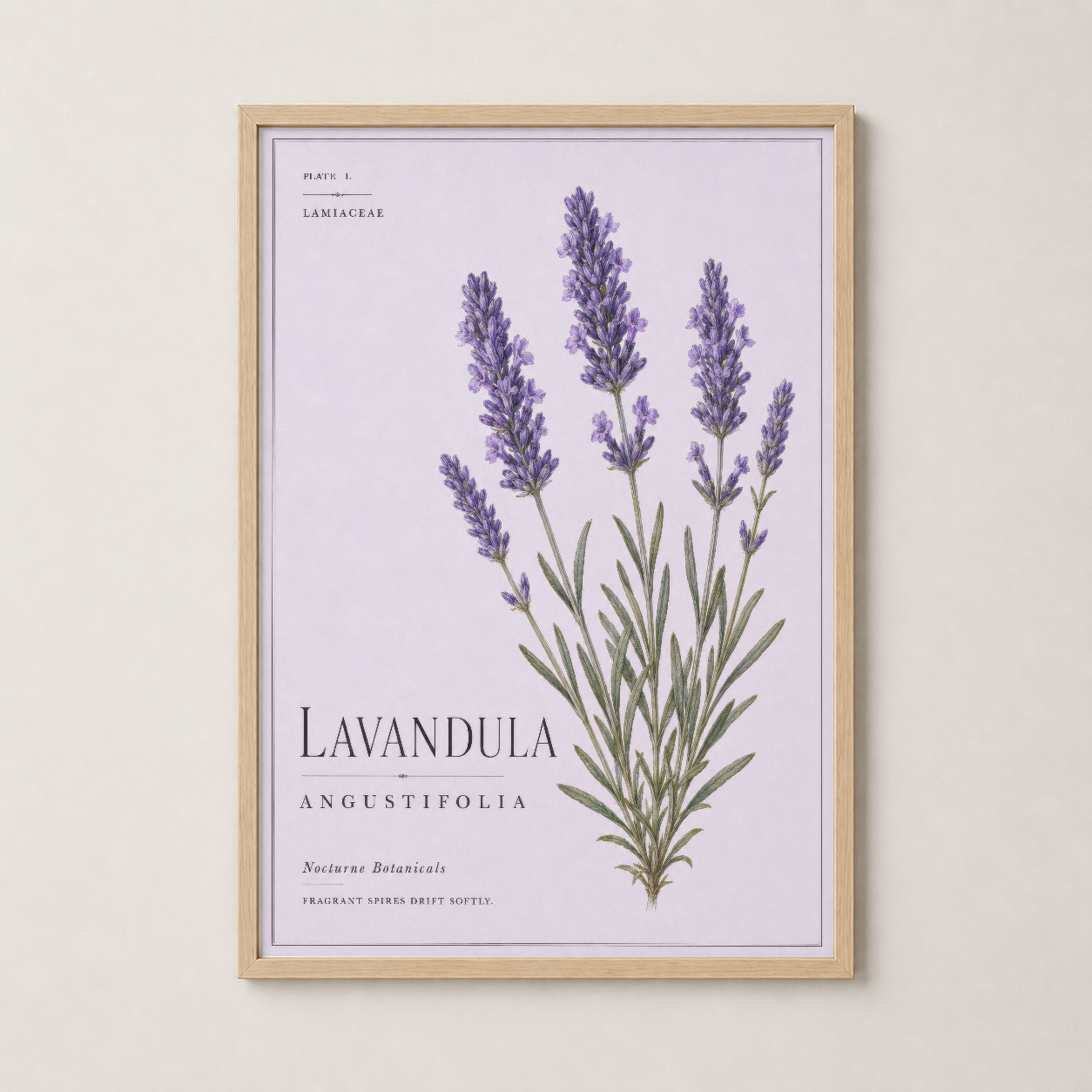 Lavandula Angustifolia tablosu ahşap çerçevede, sıcak ve doğal bir atmosfer yaratır.
