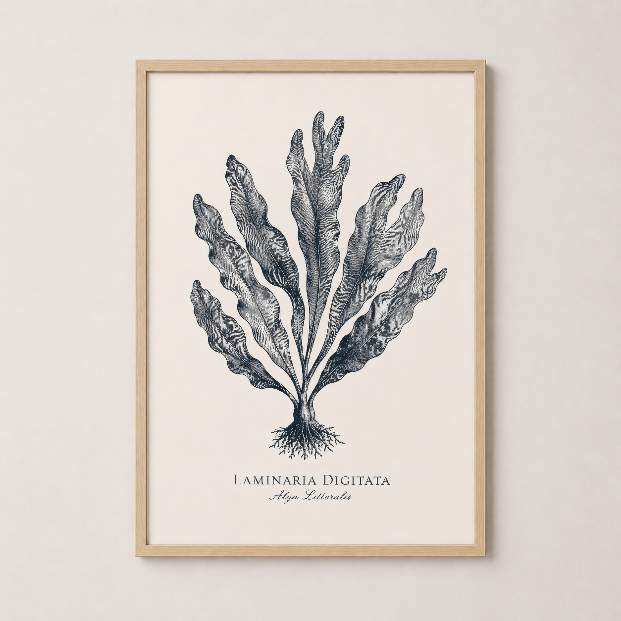 Laminaria Digitata deniz yosunu tablosu, doğal ahşap çerçeveli modern duvar sanatı.