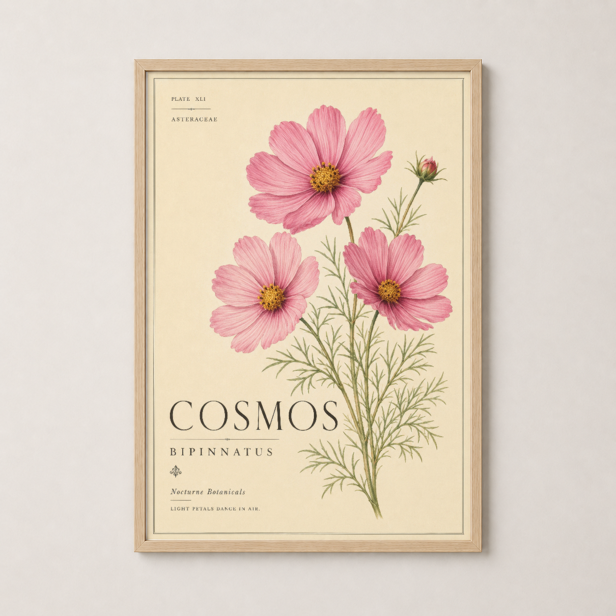 Ahşap çerçeveli Cosmos Bipinnatus baskısı, pembe çiçeklerin botanik sanatı ev dekorasyonuna ekleniyor