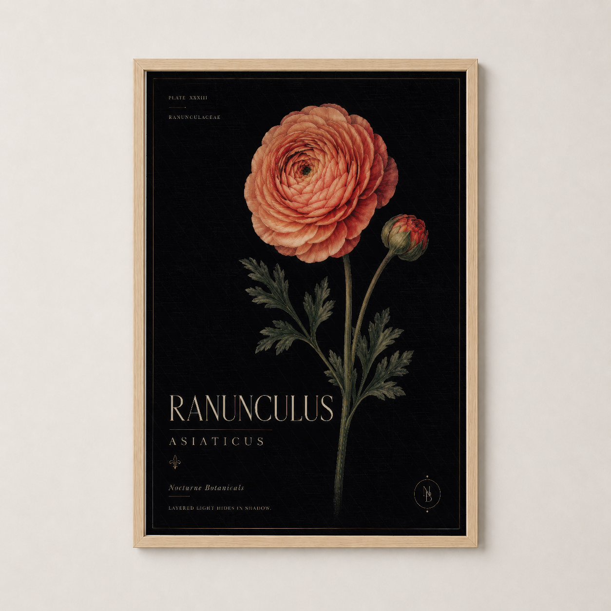Doğal ahşap çerçeveli, vintage botanik tarzında Ranunculus çiçek tablosu.