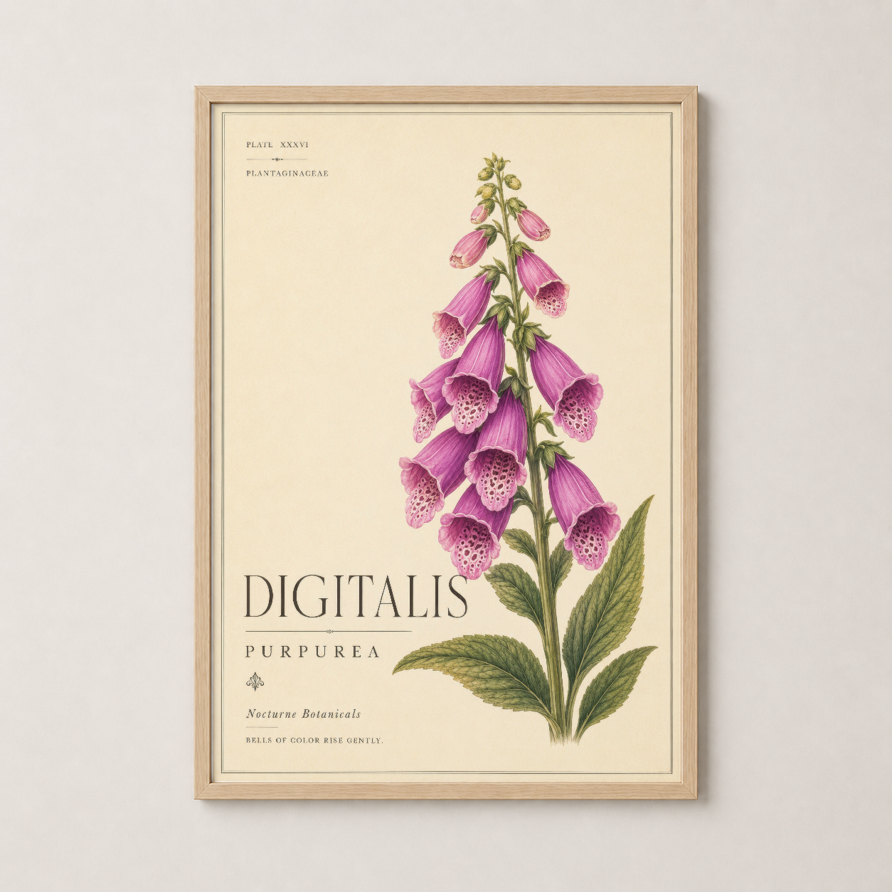 Ahşap çerçeveli Digitalis Purpurea sanat eseri, sıcak doğal tondaki dekoratif duvar tablosu.